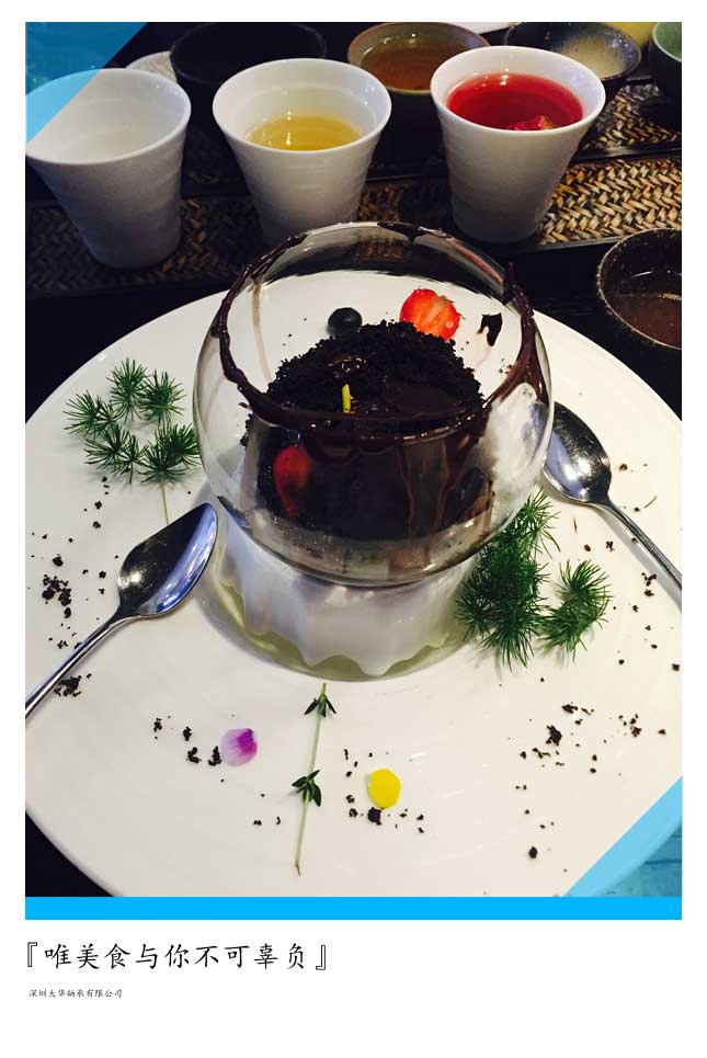 2015年第十二屆上海模型展，大華參展！